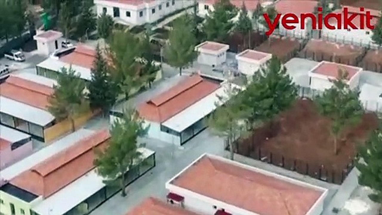 Sokaklar mı daha güvenli barınaklar mı?