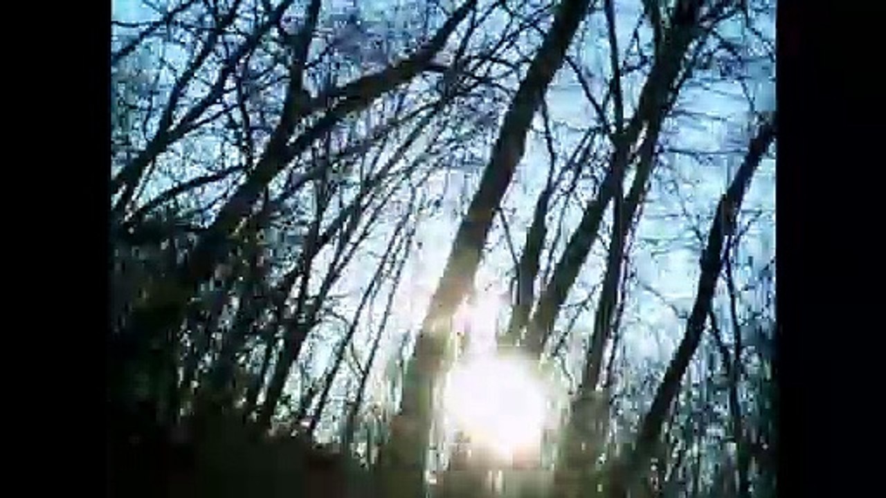 the last rose of summer guitars