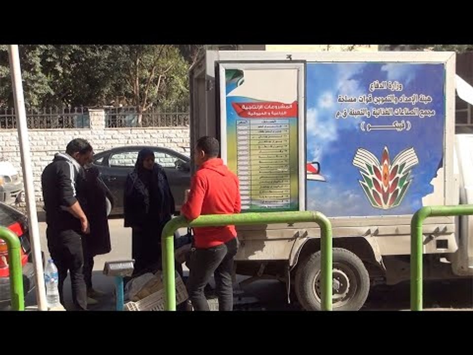 الجمبري بـ100 جنيه.. إقبال على  أسماك بركة غليو...