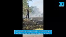 Se incendian campos en Ruta 2, a la altura de Haras del Sur: bomberos trabajan para apagar el fuego
