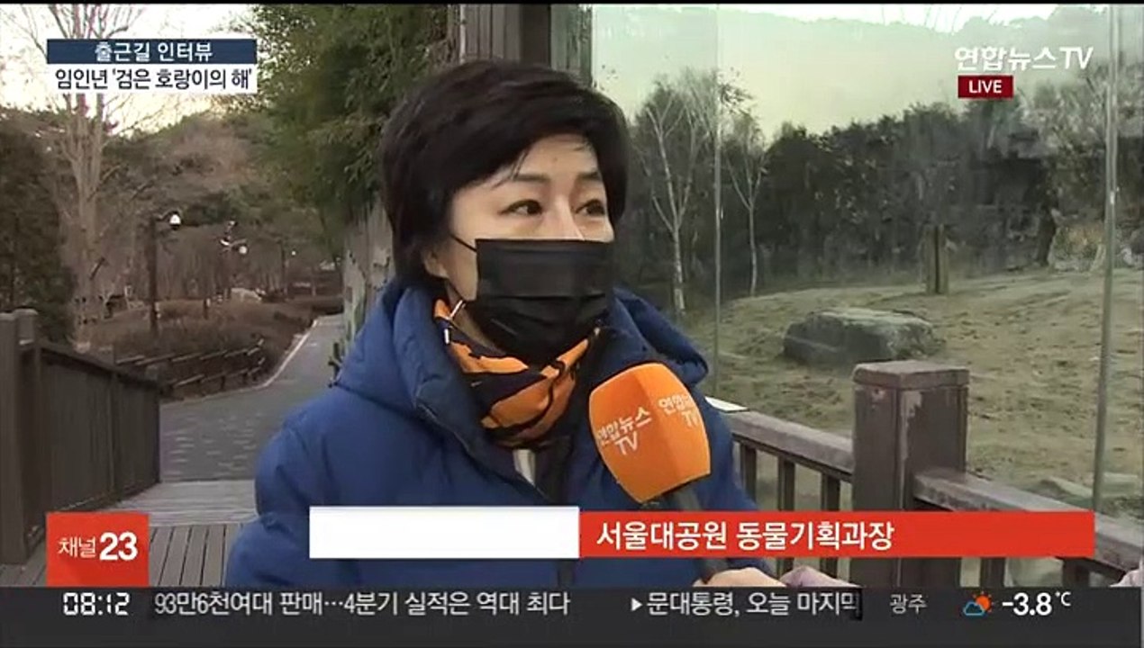 [출근길 인터뷰] 새해 첫 출근길…"호랑이 기운 받아 건강하세요"