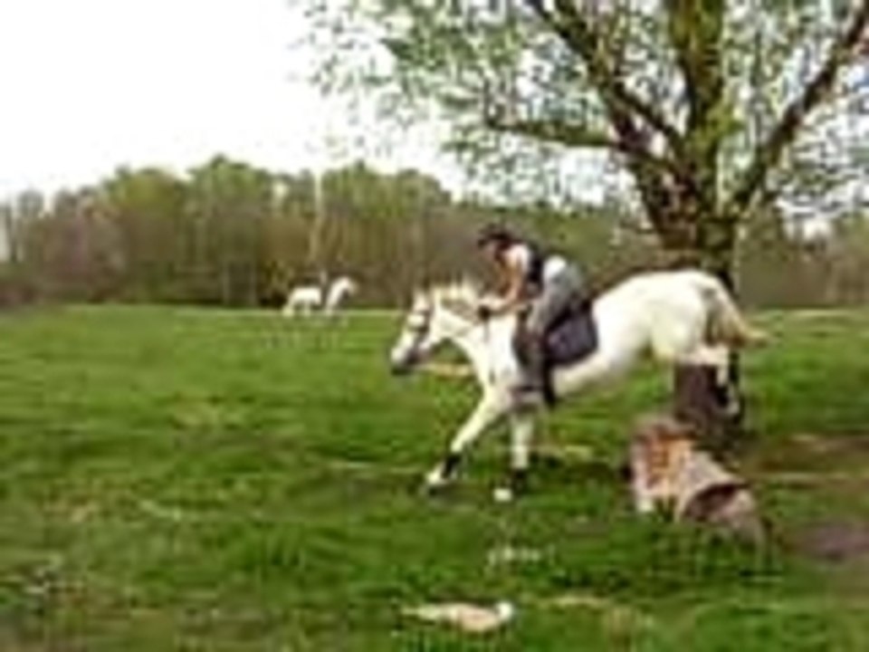 Cloth & Cora cross le double
