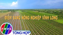 Nông nghiệp bền vững: Điểm sáng nông nghiệp Vĩnh Long