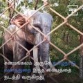 Rehabilitation Centre Set Up At Trichy For Neglected Elephants
