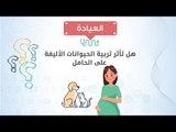 العيادة| هل تأثر تربية الحيوانات الأليفة على الحامل؟د/جسن جعفر يجيب