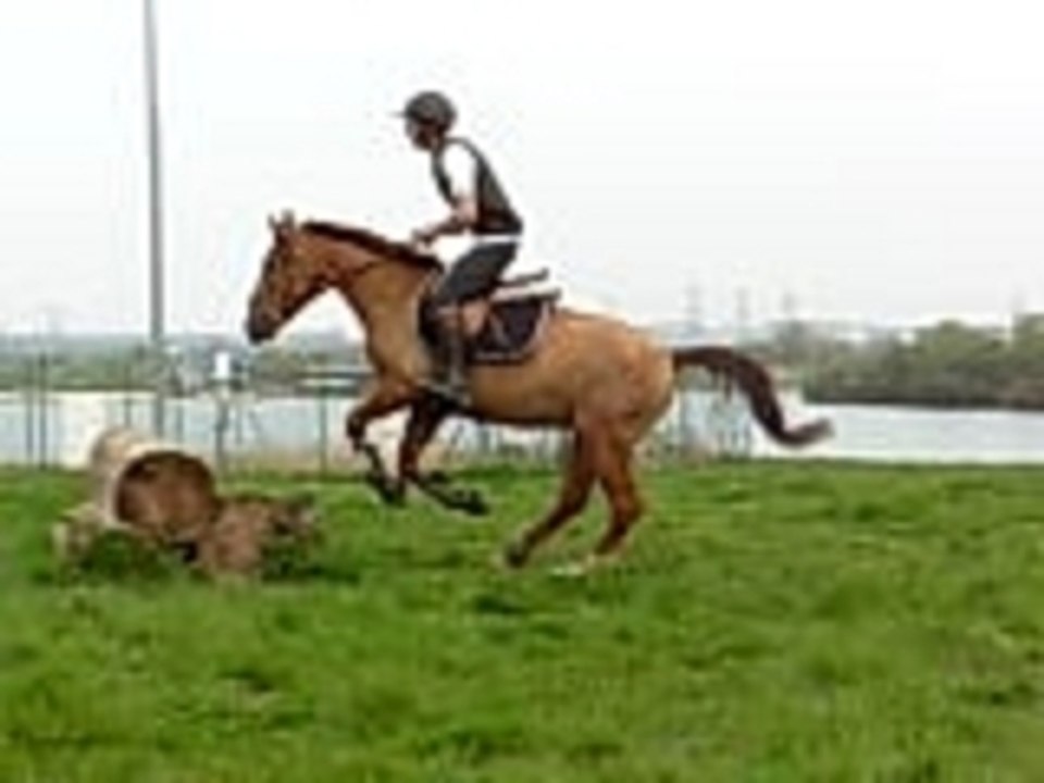 Max' & Titi cross