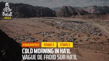 Étape 2 / Stage 2 - Cold morning in Ha'il / Vague de froid sur Ha'il - #DAKAR2022