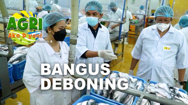 Bangus Deboning