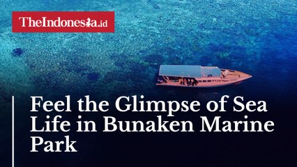 Feel the Glimpse of Sea Life in Bunaken Marine Park