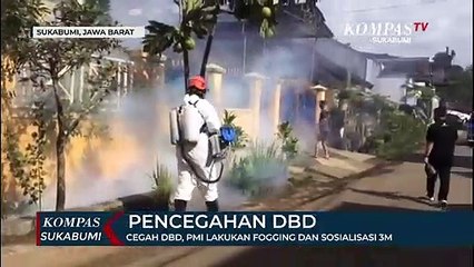 Cegah DBD, PMI Lakukan Fogging Dan Sosialisasi 3m