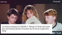 Daniel Radcliffe : Cette co-star d'Harry Potter, beaucoup plus âgée que lui, dont il était amoureux...