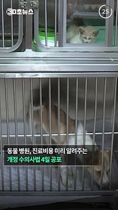 [30초뉴스] 반려동물 진료비 과다청구 막는다…개정 수의사법 공포