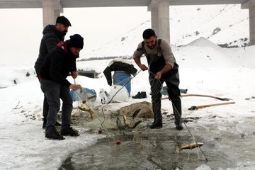 Donan derede Eskimo usulü balık avı