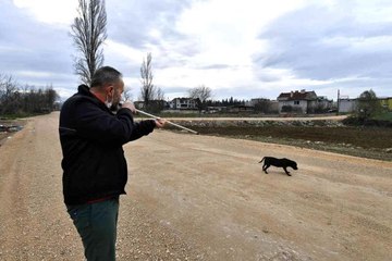 Sahipleri birer birer terk ediyor...Bursa'da Pitbull operasyonu