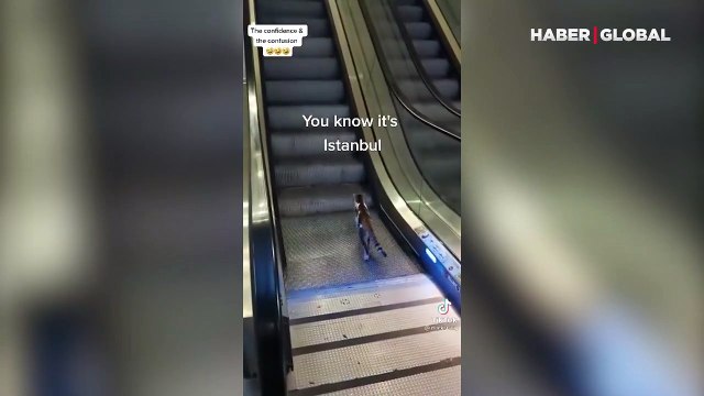 Görüntüler İstanbul'dan! Yürüyen merdivene ters binen kedi kamerada