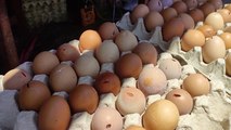 Harga Telur Ayam Naik Drastis, Warga di Blitar Buru Telur Pecah
