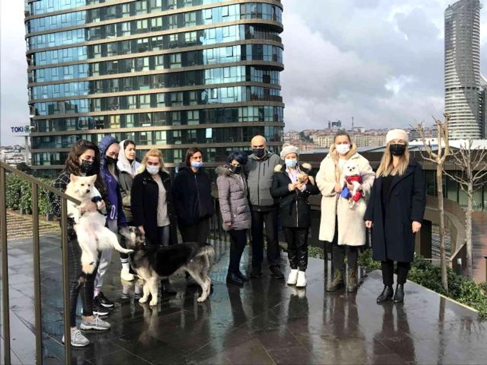 Kadıköy'de lüks sitede köpek besleyen hayvansevere tehdit: "Samuray kılıcıyla doğrarım"