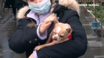 Kadıköy’de lüks sitede köpek besleyen hayvansevere tehdit: Samuray kılıcıyla doğrarım
