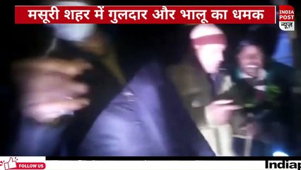 मसूरी शहर में गुलदार और भालू का धमक, लोगों में दहशत का माहौल