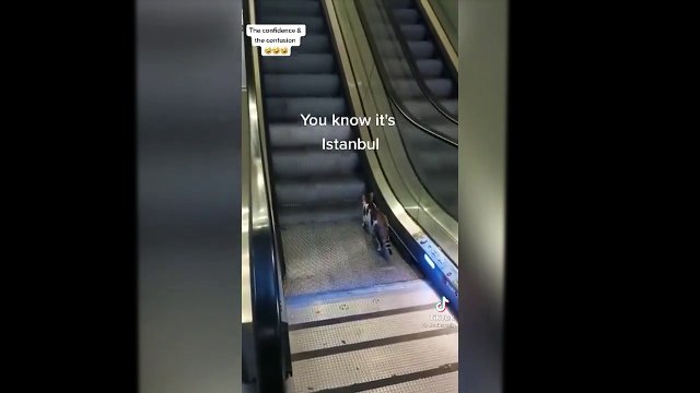 Yürüyen merdivene ters binen kedinin hayatını değiştiren hamle
