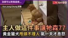 主人做這件事讓牠森77！ 黃金獵犬甩頭不理人 氣一天才息怒