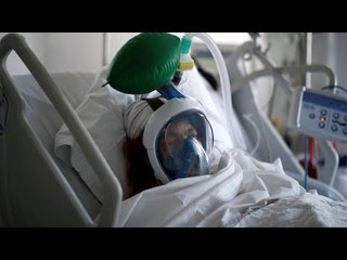 الأوراق اللازمة لصرف الدعم المادي لمصابي وشهداء كورونا من البيطريين