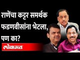 नारायण राणे समर्थकाने देवेंद्र फडणवीस यांची गोव्यात भेट का घेतली? Devendra Fadanvis | Rajan Teli