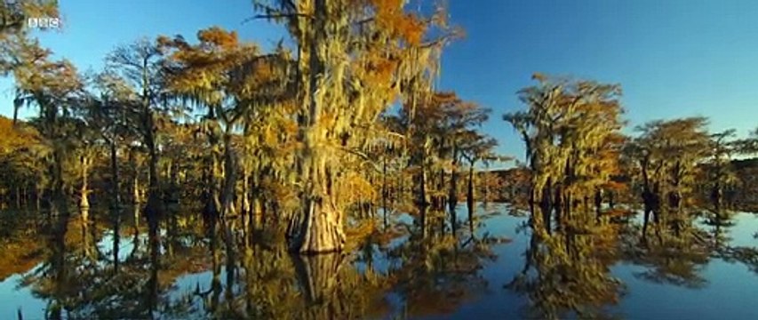 Seven Worlds, One Planet Saison 1 - Extended Trailer (EN)