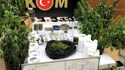 Sarallar operasyonunda dikkat çeken detaylar... Uyuşturucu serası ortaya çıktı