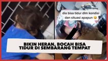 Bikin Heran, Bocah Bisa Tidur di Sembarang Tempat, Warganet: Putri Tidur Sesungguhnya