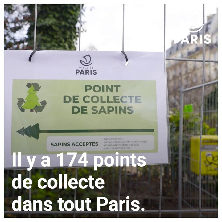 Offrez une seconde vie à votre sapin de Noël !