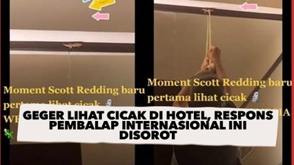 Geger Lihat Cicak di Hotel, Respons Pembalap Internasional Ini Disorot