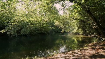 Réserve naturelle Neuhof-Illkirch, les modalités de circulation changent