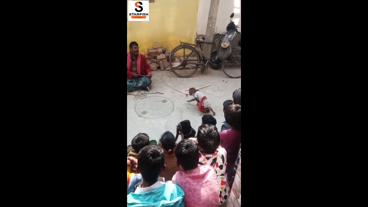 LATEST BOLLYWOOD SONGS