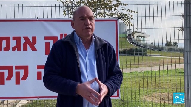 Thousands of cranes die of bird flu in Israel's worst wildlife disaster