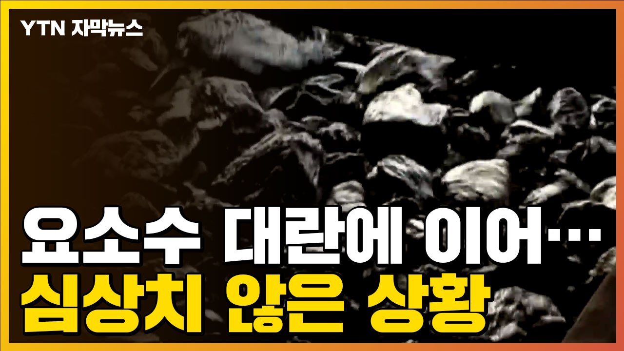 [자막뉴스] 요소수 대란에 이어 이번엔...새해 벽두부터 심상치 않은 상황 / YTN