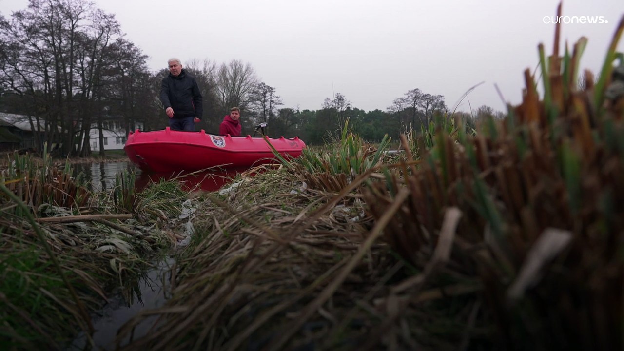 Schwimmende Pflanzeninseln: Biofilter für die Gewässerqualität