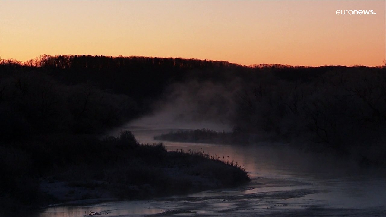 Fotopirsch im Morgengrauen: Japanische Neujahrskraniche bringen Glück