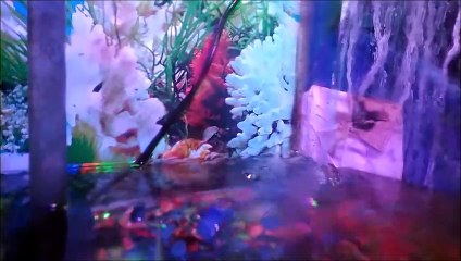 relaxasi suara air dan seruling