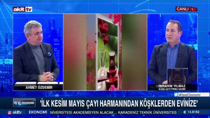 Türkiye'de çay sektörü ve Köşk Çayı