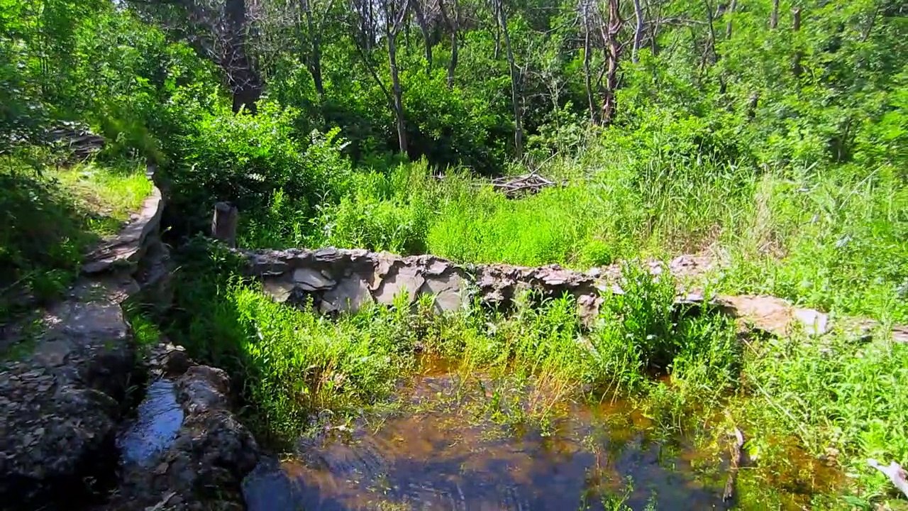 Покатушки в 2021 г.