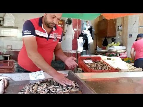 أصحاب محال الأسماك في دمياط: الإقبال ضعيف رغم تراجع الأسعار