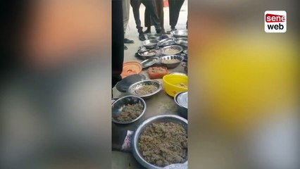 Affaire de Camp pénal de Koutal, Les dénonciations et révélations de l’ASRED