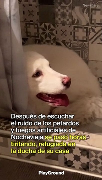 ¿Es justo que mientras unos celebran, otros sufran?
