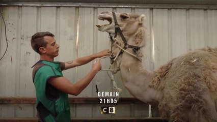 La Tanière, le zoo-refuge de l’espoir - 11 décembre