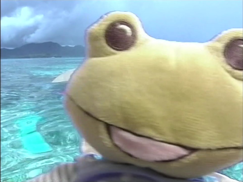 2009 Ar ran - La grenouille * Trigone Production