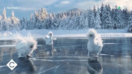 Quel animal va remplacer les Marmottes de France 3 ? La réponse