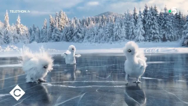 Quel animal va remplacer les Marmottes de France 3 ? La réponse