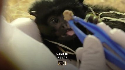 La Tanière, le zoo-refuge de l’espoir - 27 novembre