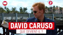 Que devient l'acteur David Caruso (Les experts - Miami) ?